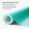 imageCricut Bulk Premium Vinyl Black  PermanentMint