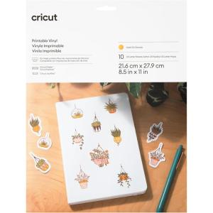 imageCricut Printable Vinyl  Silver 812quot x 11quot Pkg of 10Gold